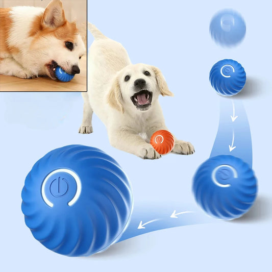 Dog toy automatic ball