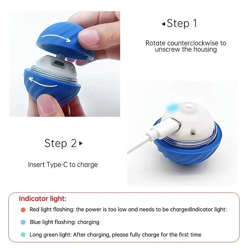 Dog toy automatic ball