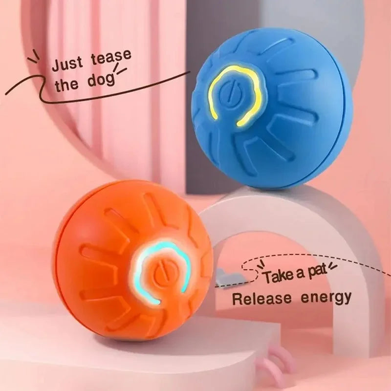 Dog toy automatic ball