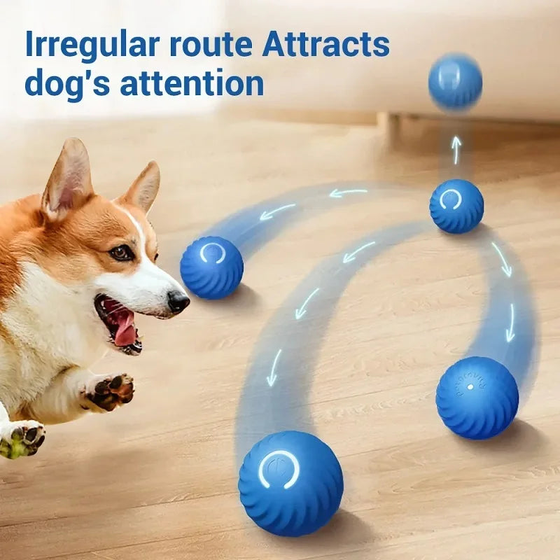 Dog toy automatic ball