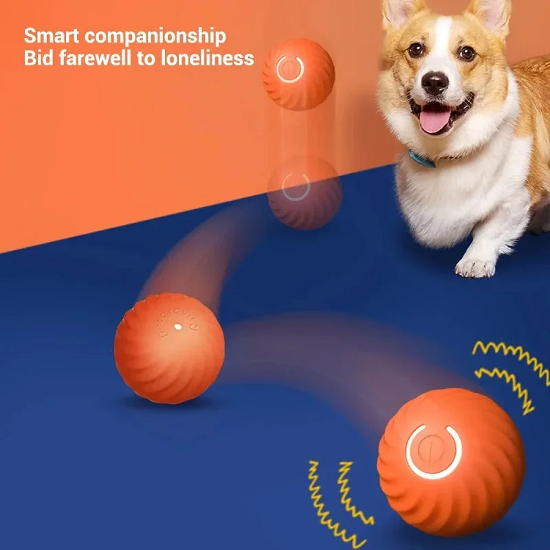 Dog toy automatic ball